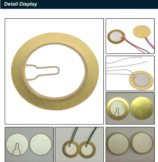 Fbpzt3mm Piezoelectric Crystal in Electrical 4MHz Ceramic Piezo Disks Piezoelectric